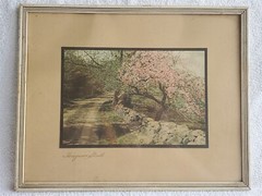 VINTAGE Wallace Nutting Colorized Photo HONEYMOON STROLL Nature Road 14 3/4″x12″