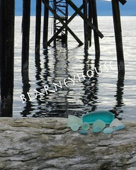 BEAUTIFUL PHOTO OF SEA GLASS ON DRIFTWOOD 3!