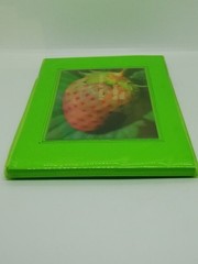 A Piece of Heaven Mika Ninagawa Photo Book Photography