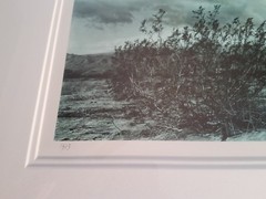 RARE DOUGLAS BUSCH MOUNTAINS TINTED FRAMED PHOTOGRAPH 1983 SIGNED