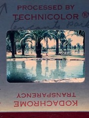 Lot Of 40 Vintage Family Life Teenage Summer Fun Amateur 35mm Color Slides