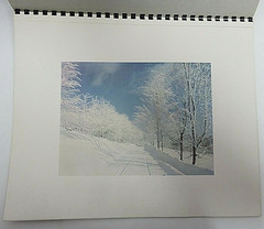 12 Vintage Vermont Photo Prints 11×14 Ready to Frame