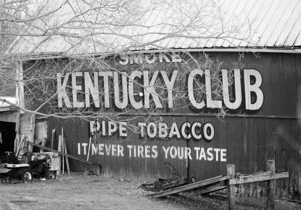 «Is Kentucky a Club or a Tobacco?» wall art