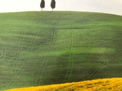SNOWDON/HOYER ,’TOSCANY,ITALY,2001′ RARE AUTHENTIC ART PRINT
