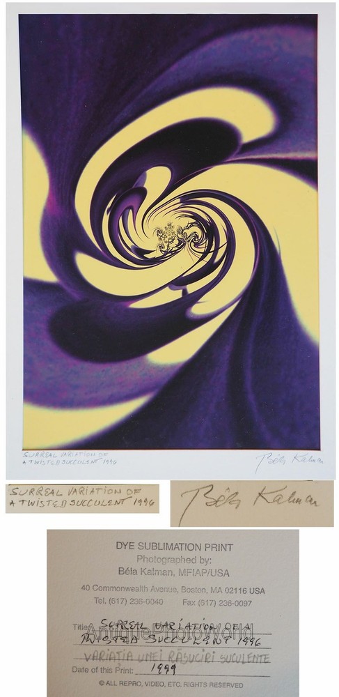 Abstract swirl surreal art photo by Bela Kalman