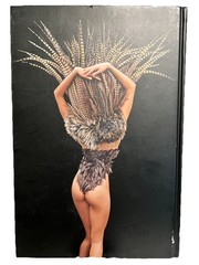 Darling Wedding Portrait Fashion Photography Boudoir Jerry Ghionis Sign 3D Glass
