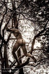 Original Male Nude KELLY WILLIAM WRIGHT Song Of The Trees #23 Stamped Photo 9×13