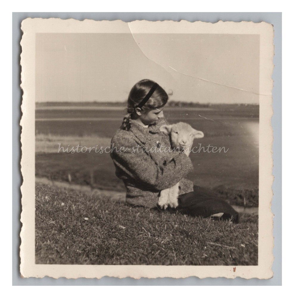 Husum 1949 – On the Outside Dike Girl with Sheep – Vintage Photo 1940s