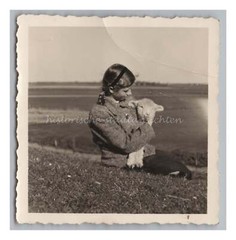 Husum 1949 – On the Outside Dike Girl with Sheep – Vintage Photo 1940s