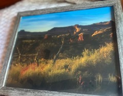 Photograph Of Desert In The Springtime Framed 15 1/2 X 12 1/2