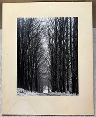 Original CLEMENS KALISCHER ‘Path in the Woods POWNAL VERMONT’ Landscape PHOTO