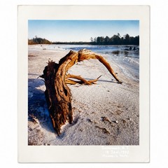 Michael C Hall Signed Photograph Deadwood NJ 1992 Pine Barrens Landscape 16×20