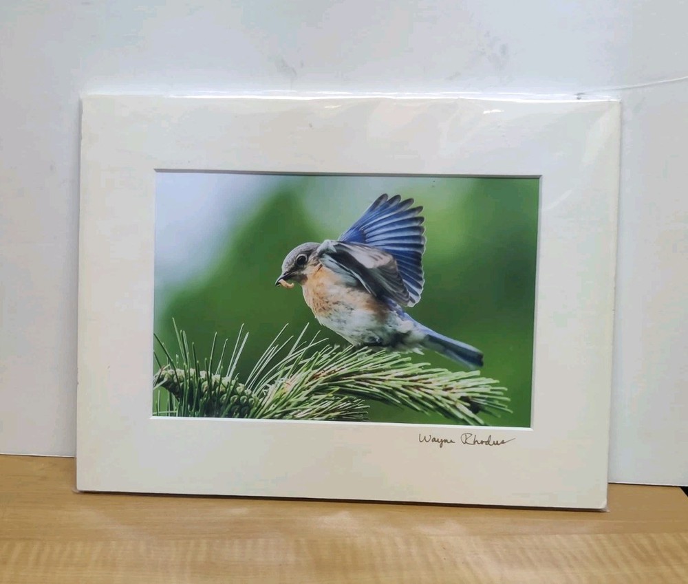 Signed Original Fine Art Photography by Renowned KANSAS Artist WAYNE RHODUS