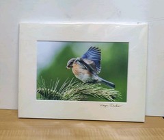 Signed Original Fine Art Photography by Renowned KANSAS Artist WAYNE RHODUS