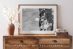 Moon Photography Print: Utah Sandstone Cliff Arches National Park Black & White