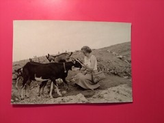 Alt Foto antik wunderschöne Frau Woman auf der Eggenalm Natur Geißbock old Photo