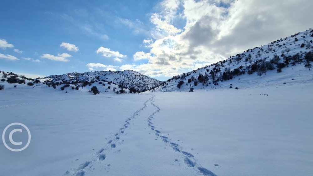 Photo Digital Product Illustration. Snow in Israel. Israel, Hermon mountain.