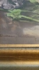 Rare Wallace Nutting Hand Colored Photo Floral #3563, all original.  