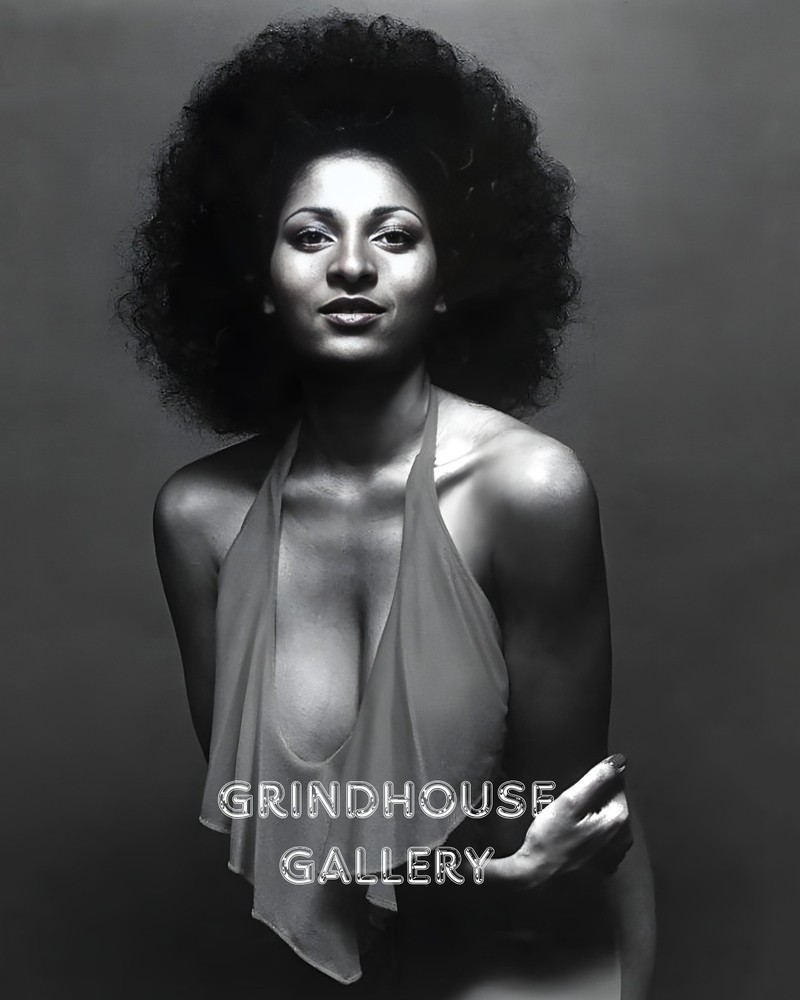 PAM GRIER Beautiful Sexy HOT Actress Pin-Up Wall Art Photo Print #9