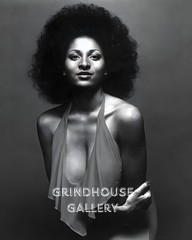 PAM GRIER Beautiful Sexy HOT Actress Pin-Up Wall Art Photo Print #9