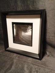 2 Modern Black & White Photography Trees Minimalist Moody 11.25 » Square Frames