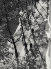 1932 Original Kardas Street People Tree Shadow Aerial View Vintage Photo Gravure