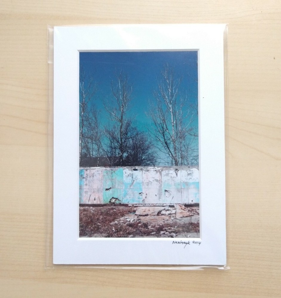 Matted Photo Print industrial decay Minimal Tree Modern Photography Decor
