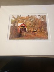 Dick Brown Amish And Bridge 2011