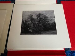 Lot of 5 MARK CITRET Signed Photos With Hardcover Case – Old Halcott Cemetery