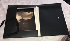 MELISSA SPRINGER BLOOMS COLLECTION SET OF 3 SEPIA MONOCHROME FLOWER PRINTS NIB