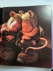 ANN GEDDES : Down In The Garden Brand New 1st Edition BABY PHOTO BOOK