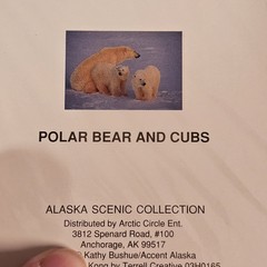 (3)Signed Tom Soucek Polar Bear Cub Photograph Anchorage Alaska (2) Walker/Bushu