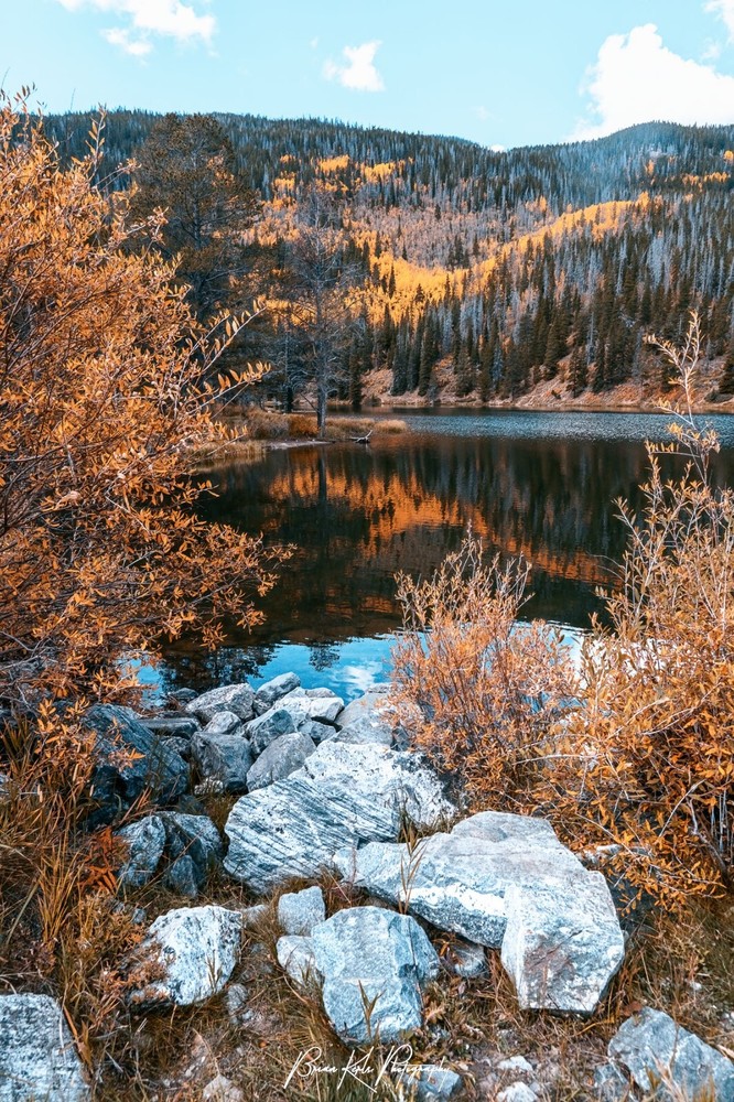 Moody Fall Reflections Framed Autumn Landscape Photograph Nature Wall Art
