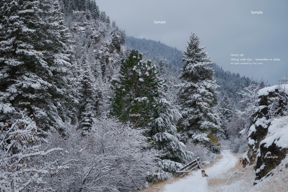 Dog Takes Human Hiking Idaho Winter Mountain Landscape Photo Poster Print SC02