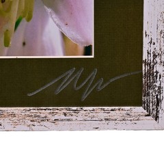 MICHAEL RAY Original Vintage Signed Long Island NY Floral Still Life Photograph