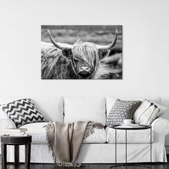 SEVEN WALL ARTS Highland Cow Photography Wildlife Portrait Picture Black and …