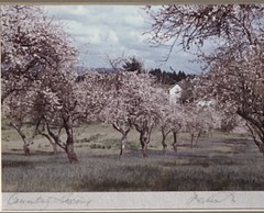 Artist Doreen Wynja Pair Vintage Photograph Art Wine Country Signed Matted EUC!!