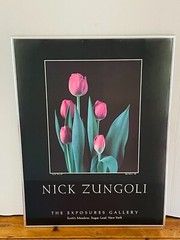NICK ZUNGOLI Vintage 1981 «Pink Tulips» Signed & Framed- 18 x 24″