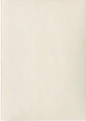 Z6061 Photo 1970s Artistic Nude Pretty Woman