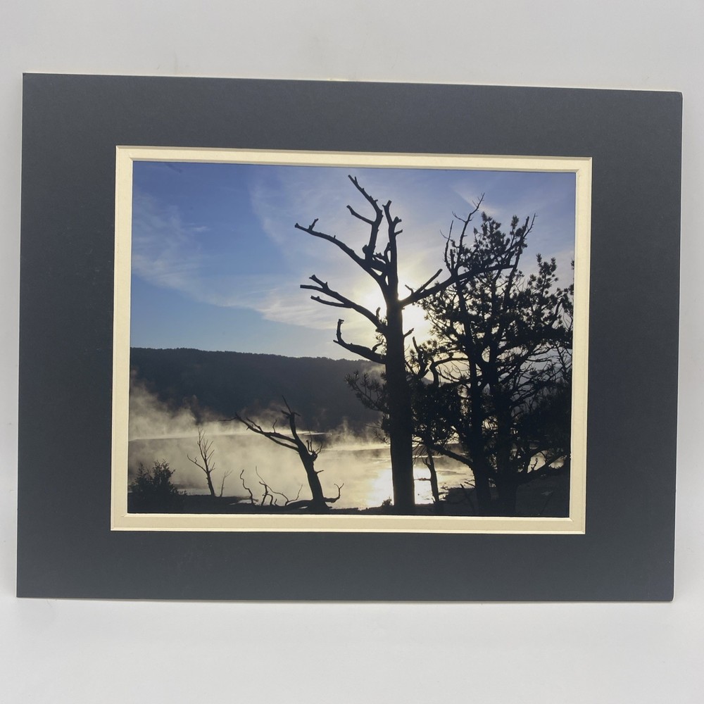 Matted Southwest Landscape Photo Print 11 X 14 Wall Art Gallery Decor