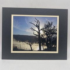 Matted Southwest Landscape Photo Print 11 X 14 Wall Art Gallery Decor