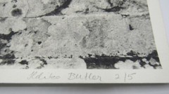 Signed Ildiko Butler photograph lichen covered sculpture/architecture study