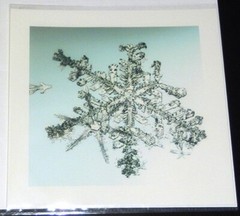 MIKE & DOUG STARN TWINS ‘Sno6_034.1 (Snowflake)’, 2005 SIGNED Photograph **NEW**