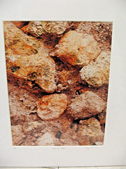 ART PHOTOGRAPHY Abstract 05 Artist Proof Color With COA 16×20 By Larry Santucci