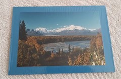 Sharon Walleen Photographs Alaska Mt McKinley Sled Dogs Grizzly Bears 5 X 7 Inch