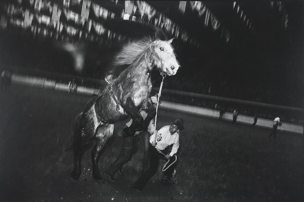 Garry WINOGRAND: Fort Worth, TX, 1974 / Rodeo COVER / VINTAGE /GWHN-13/ SIGNED