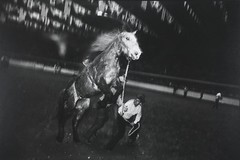 Garry WINOGRAND: Fort Worth, TX, 1974 / Rodeo COVER / VINTAGE /GWHN-13/ SIGNED