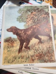 Vtg. Paper Ephemera Dog Themed