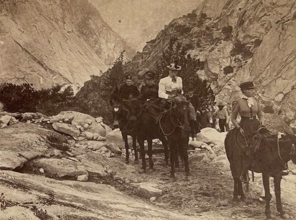 USA US Quatre – Women à Cheval California 1894 Photo Stereo Vintage
