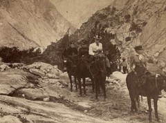 USA US Quatre – Women à Cheval California 1894 Photo Stereo Vintage